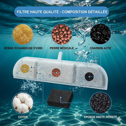 Filtres de Remplacement pour Fontaine à Eau Chat – Pack 6 ou 12