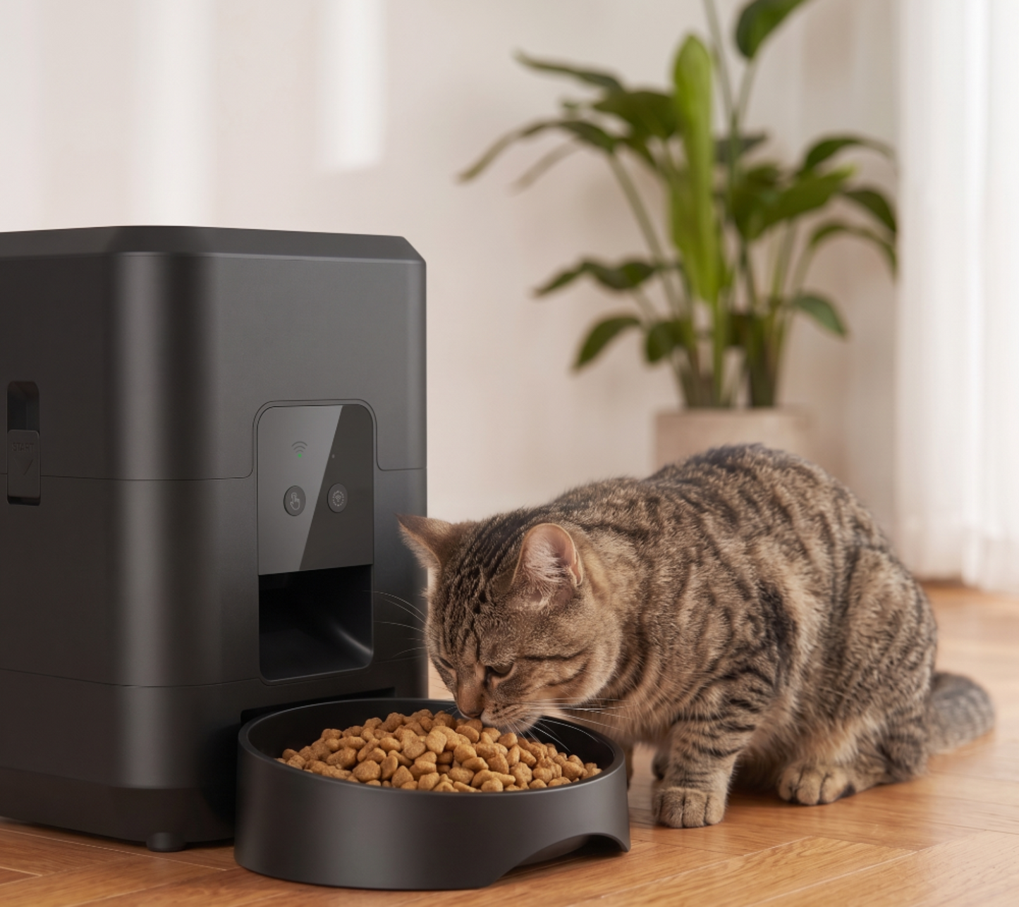 Distributeur Automatique de Croquettes Connecté – Chat